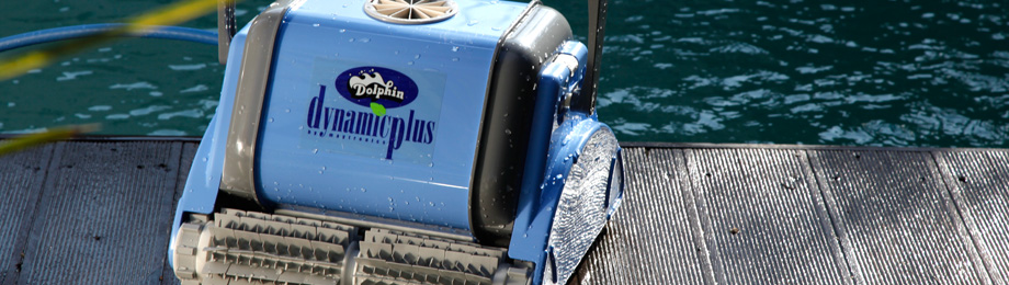 Dolphin Dynamic Plus