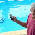 medium_dolphines2004.jpg