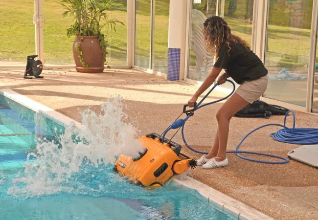 Dolphin Wave 300 XL