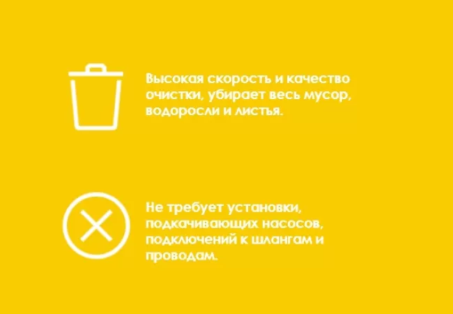 Ручной пылесос Watertech Pool Blaster MAX CG