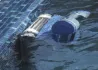 Робот-пылесос Dolphin Master M4